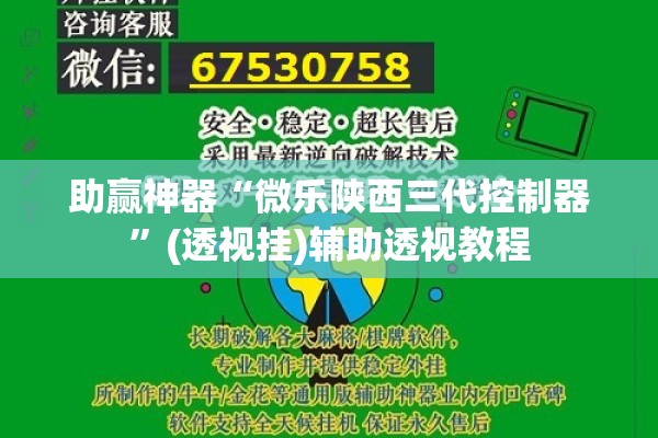 助赢神器“微乐陕西三代控制器	”(透视挂)辅助透视教程