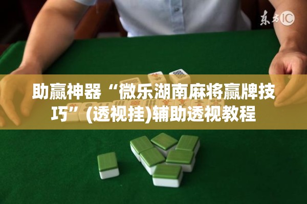 助赢神器“微乐湖南麻将赢牌技巧”(透视挂)辅助透视教程