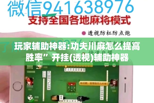 玩家辅助神器:功夫川麻怎么提高胜率”开挂(透视)辅助神器