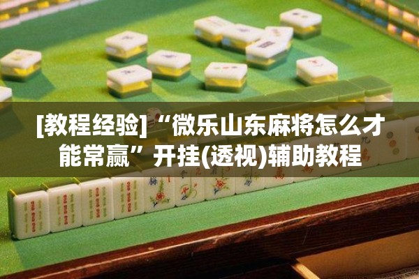 [教程经验]“微乐山东麻将怎么才能常赢”开挂(透视)辅助教程