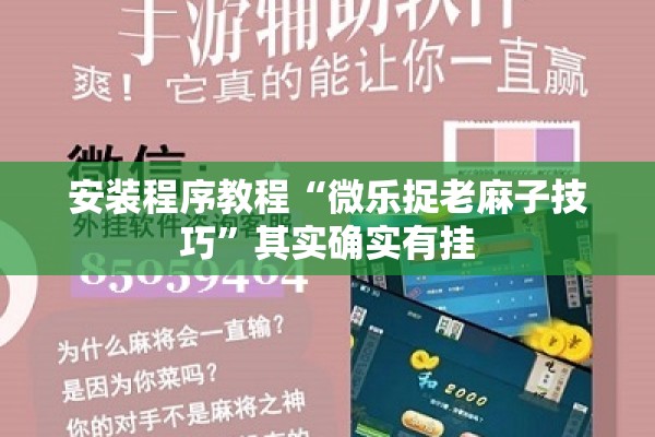 安装程序教程“微乐捉老麻子技巧”其实确实有挂