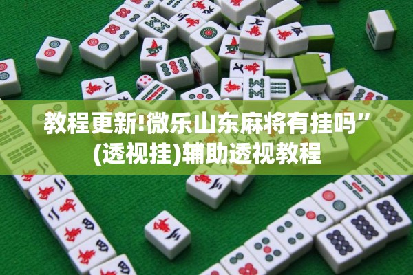 教程更新!微乐山东麻将有挂吗”(透视挂)辅助透视教程