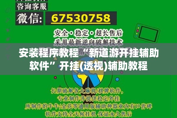安装程序教程“新道游开挂辅助软件”开挂(透视)辅助教程