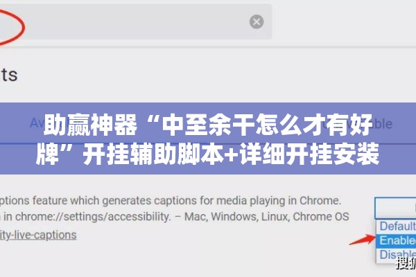 助赢神器“中至余干怎么才有好牌”开挂辅助脚本+详细开挂安装教程