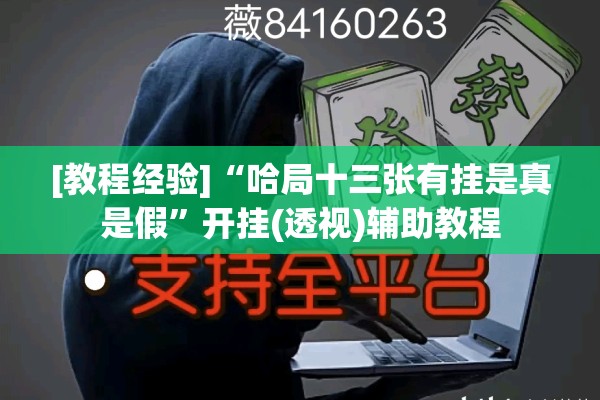 [教程经验]“哈局十三张有挂是真是假”开挂(透视)辅助教程