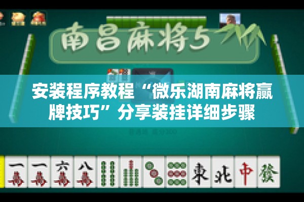 安装程序教程“微乐湖南麻将赢牌技巧”分享装挂详细步骤
