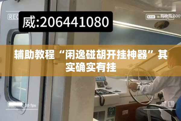 辅助教程“闲逸碰胡开挂神器	”其实确实有挂