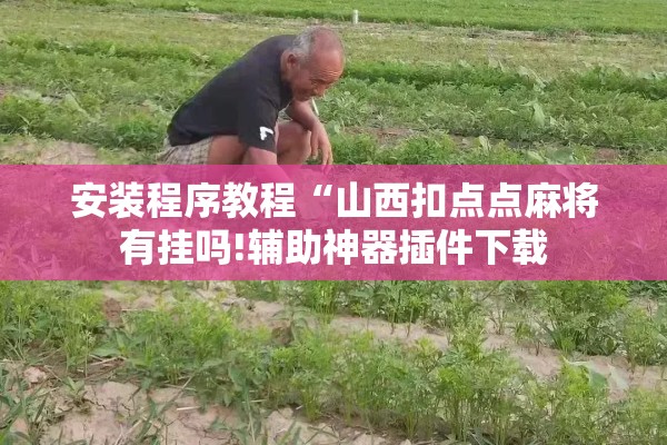 安装程序教程“山西扣点点麻将有挂吗!辅助神器插件下载 安装程序教程“山西扣点点麻将有挂吗!辅助神器插件下载