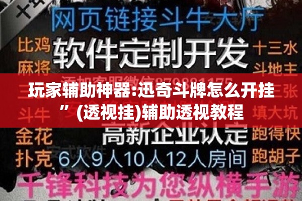 玩家辅助神器:迅奇斗牌怎么开挂”(透视挂)辅助透视教程