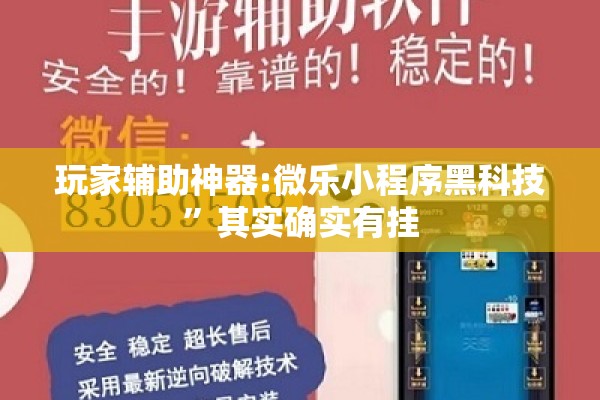 玩家辅助神器:微乐小程序黑科技	”其实确实有挂