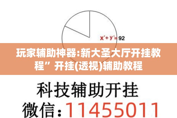玩家辅助神器:新大圣大厅开挂教程”开挂(透视)辅助教程