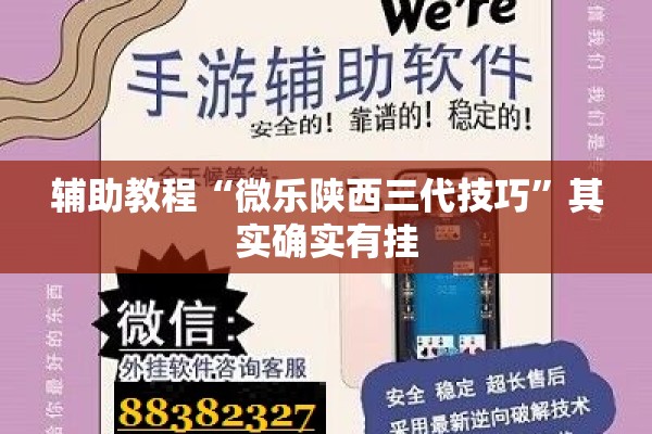 辅助教程“微乐陕西三代技巧	”其实确实有挂