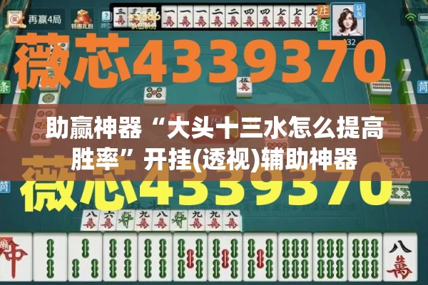助赢神器“大头十三水怎么提高胜率”开挂(透视)辅助神器