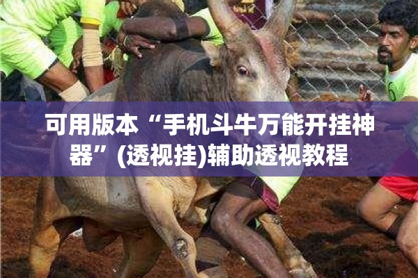 可用版本“手机斗牛万能开挂神器”(透视挂)辅助透视教程