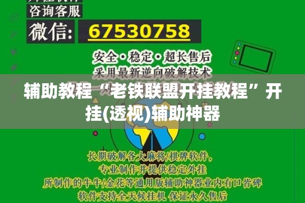 辅助教程“老铁联盟开挂教程	”开挂(透视)辅助神器