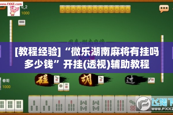 [教程经验]“微乐湖南麻将有挂吗多少钱”开挂(透视)辅助教程