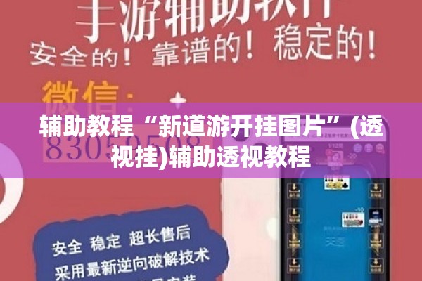 辅助教程“新道游开挂图片”(透视挂)辅助透视教程