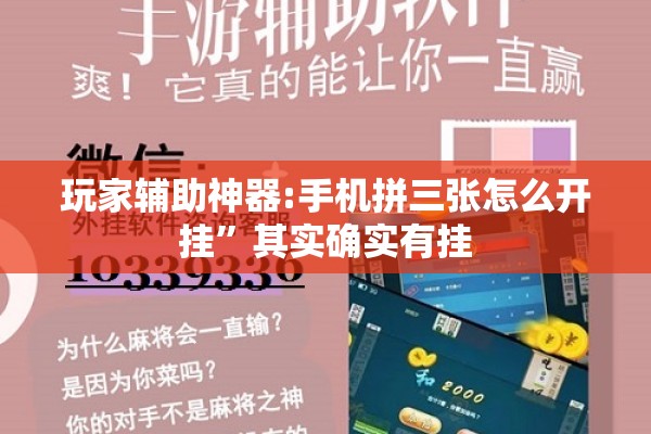 玩家辅助神器:手机拼三张怎么开挂”其实确实有挂