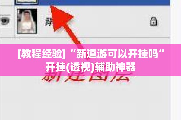 [教程经验]“新道游可以开挂吗”开挂(透视)辅助神器