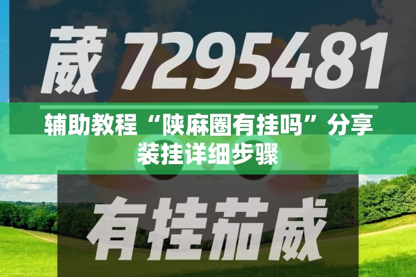 辅助教程“陕麻圈有挂吗	”分享装挂详细步骤