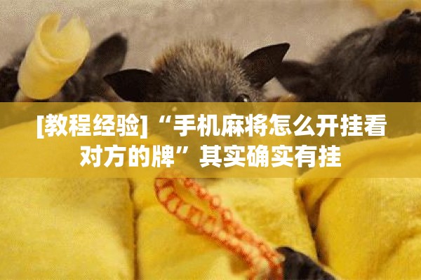 [教程经验]“手机麻将怎么开挂看对方的牌”其实确实有挂