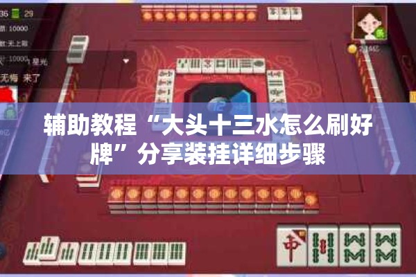 辅助教程“大头十三水怎么刷好牌”分享装挂详细步骤
