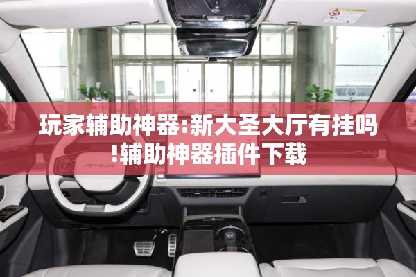 玩家辅助神器:新大圣大厅有挂吗!辅助神器插件下载