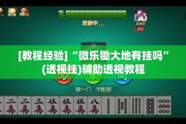 [教程经验]“微乐锄大地有挂吗”(透视挂)辅助透视教程