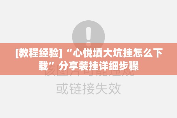 [教程经验]“心悦填大坑挂怎么下载	”分享装挂详细步骤