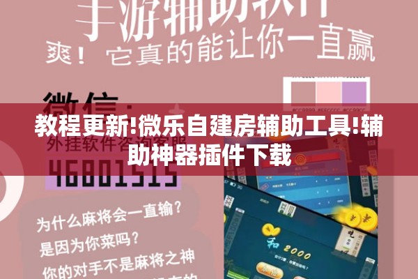 教程更新!微乐自建房辅助工具!辅助神器插件下载