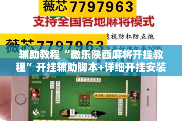 辅助教程“微乐陕西麻将开挂教程	”开挂辅助脚本+详细开挂安装教程