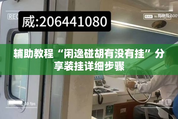 辅助教程“闲逸碰胡有没有挂”分享装挂详细步骤