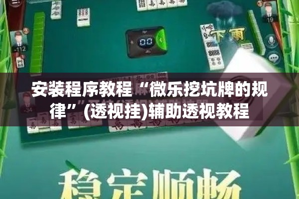 安装程序教程“微乐挖坑牌的规律	”(透视挂)辅助透视教程