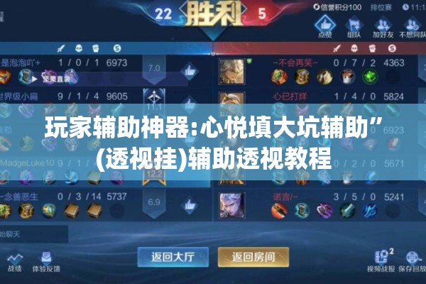 玩家辅助神器:心悦填大坑辅助	”(透视挂)辅助透视教程