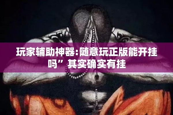 玩家辅助神器:随意玩正版能开挂吗”其实确实有挂