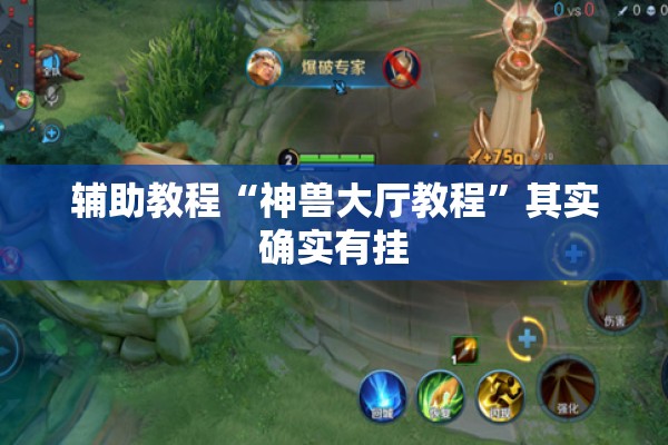 辅助教程“神兽大厅教程”其实确实有挂