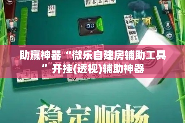 助赢神器“微乐自建房辅助工具”开挂(透视)辅助神器