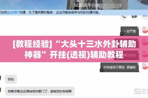 [教程经验]“大头十三水外卦辅助神器”开挂(透视)辅助教程