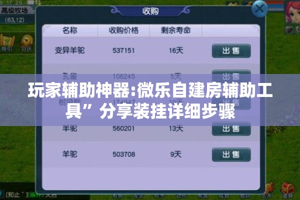 玩家辅助神器:微乐自建房辅助工具	”分享装挂详细步骤