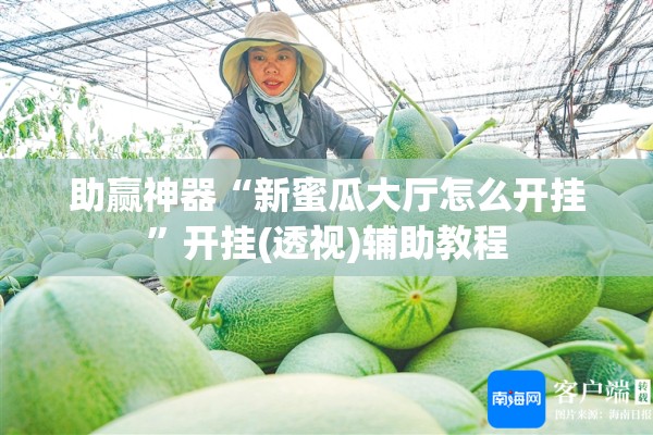 助赢神器“新蜜瓜大厅怎么开挂”开挂(透视)辅助教程