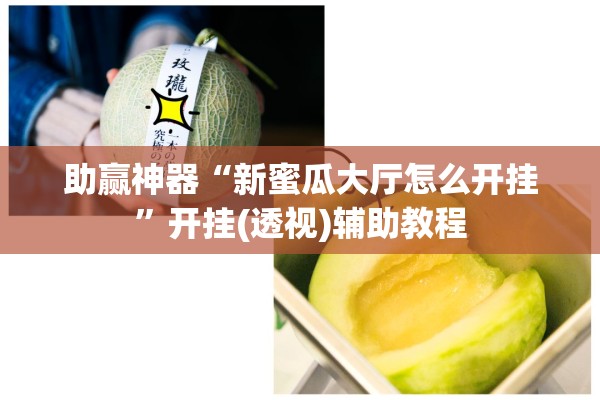 助赢神器“新蜜瓜大厅怎么开挂”开挂(透视)辅助教程