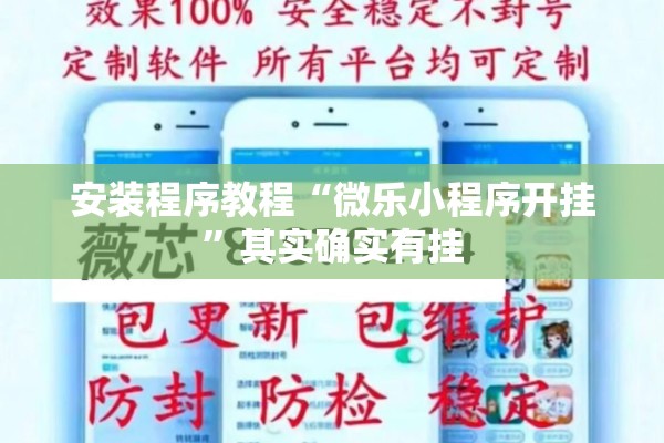 安装程序教程“微乐小程序开挂”其实确实有挂