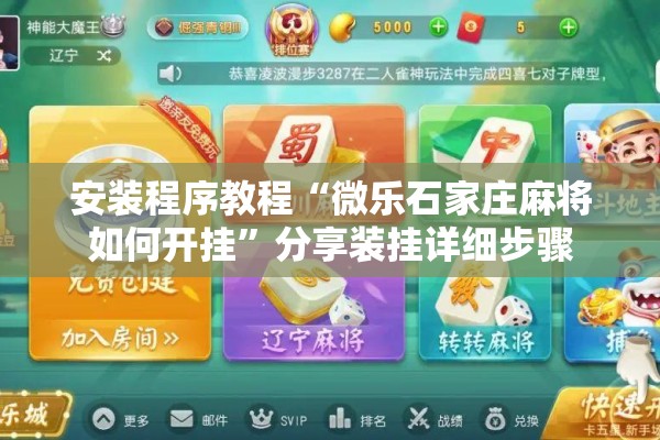 安装程序教程“微乐石家庄麻将如何开挂”分享装挂详细步骤