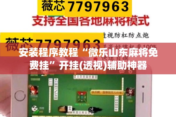 安装程序教程“微乐山东麻将免费挂	”开挂(透视)辅助神器