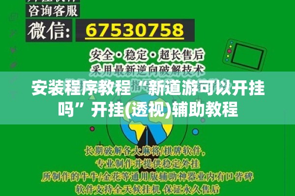 安装程序教程“新道游可以开挂吗”开挂(透视)辅助教程