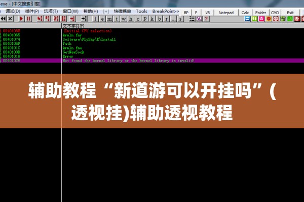 辅助教程“新道游可以开挂吗	”(透视挂)辅助透视教程