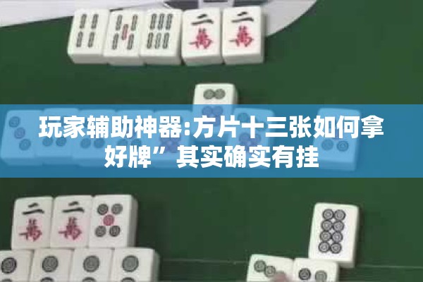玩家辅助神器:方片十三张如何拿好牌”其实确实有挂