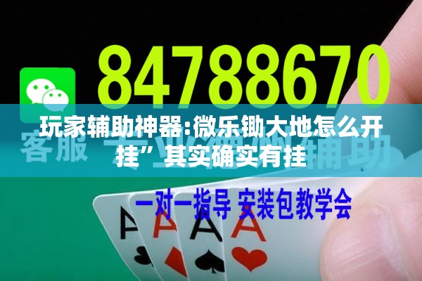 玩家辅助神器:微乐锄大地怎么开挂”其实确实有挂