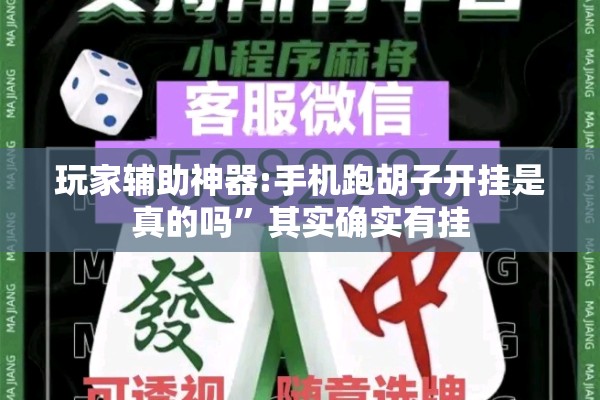 玩家辅助神器:手机跑胡子开挂是真的吗”其实确实有挂